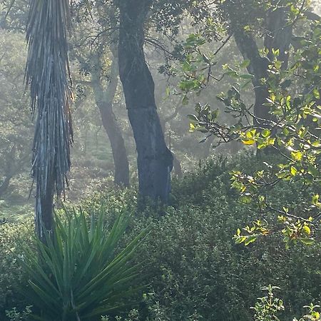 Tres Figos Villa São Luis Dış mekan fotoğraf